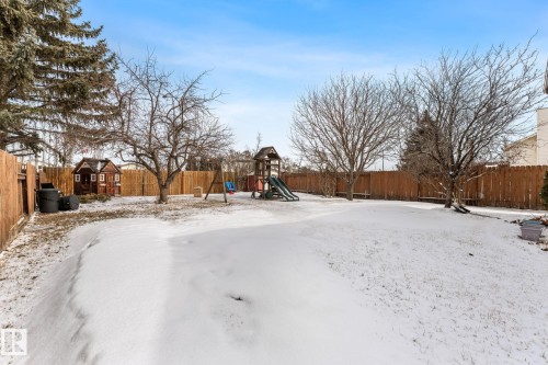 Expansive backyard with a wooden fence, mature trees, and a play structure - 7252 152C Avenue, Edmonton, AB - Outdoor