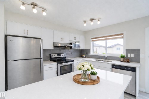 2122 52A Street, Edmonton, AB - Indoor Photo Showing Kitchen With Double Sink