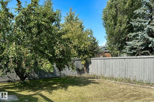 13818 131A Avenue, Edmonton, AB - Outdoor