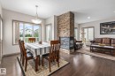 9520 206 Street, Edmonton, AB  - Indoor With Fireplace 