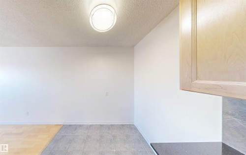 This property features a ceiling-mounted light fixture, light-colored wooden cabinetry, and a dark countertop - 303 8215 83 Avenue, Edmonton, AB - Indoor Photo Showing Other Room