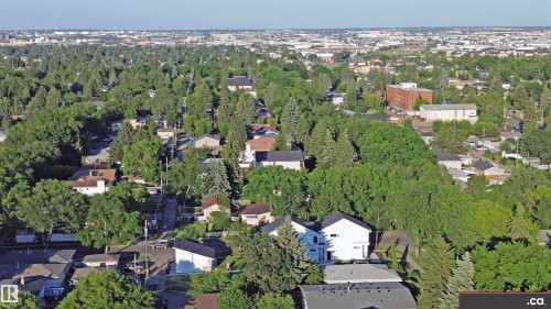 Aerial view of the neighborhood showcasing extensive tree coverage and a mix of residential properties with dark and light-colored roofs - 303 8215 83 Avenue, Edmonton, AB - Outdoor With View