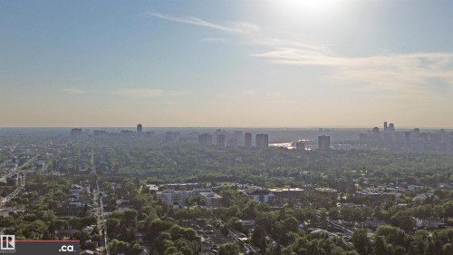 Aerial view showcasing the expansive urban landscape with a clear sky, featuring a mix of residential structures and a prominent tree canopy - 303 8215 83 Avenue, Edmonton, AB - Outdoor With View