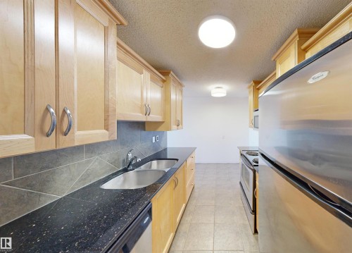 The kitchen features light wood cabinetry, dark speckled countertops, a double stainless steel sink, and stainless steel appliances - 303 8215 83 Avenue, Edmonton, AB - Indoor Photo Showing Kitchen With Double Sink