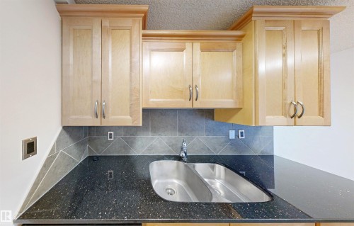 The kitchen features light wood cabinetry, a dark speckled countertop, a stainless steel double sink, and a tiled backsplash - 303 8215 83 Avenue, Edmonton, AB - Indoor Photo Showing Kitchen With Double Sink