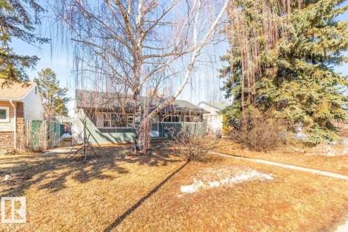 The property features a charming exterior with a front yard, mature trees, and a concrete pathway leading to the entrance - 13108 133 Street, Edmonton, AB - Outdoor