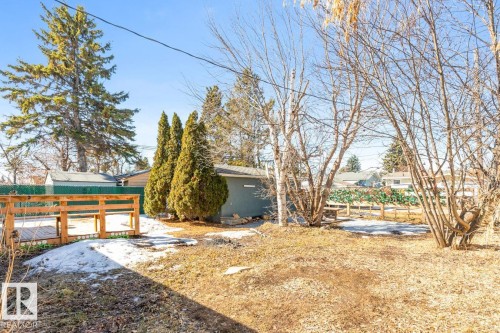 The property features a yard with mature trees, a wooden deck, and a detached building - 13108 133 Street, Edmonton, AB - Outdoor With View
