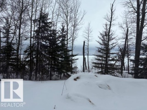 582 Highway 813, Rural Opportunity M.D., AB - Outdoor With View