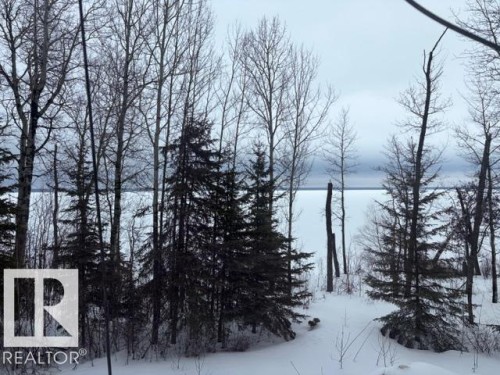 582 Highway 813, Rural Opportunity M.D., AB - Outdoor With View