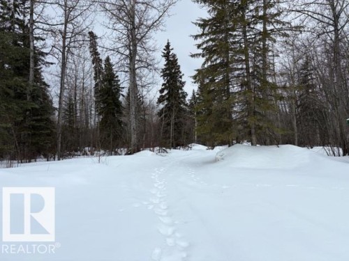 582 Highway 813, Rural Opportunity M.D., AB - Outdoor With View