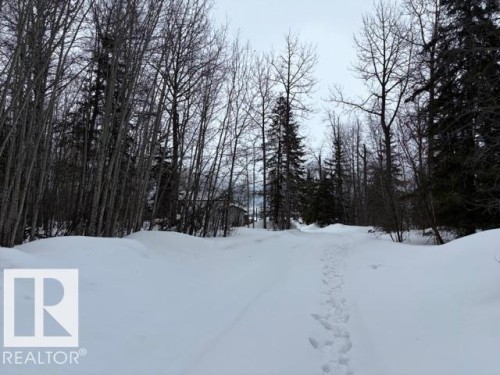 582 Highway 813, Rural Opportunity M.D., AB - Outdoor With View