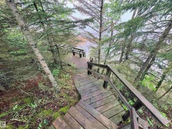 Wood-plank stairway descending through natural forest, terminating at a wood-plank landing with a built-in bench - 
