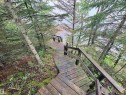 Wood-plank stairway descending through natural forest, terminating at a wood-plank landing with a built-in bench - #4 Kingbird Road, Rural Bonnyville M.D., AB 