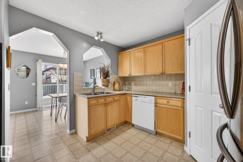 1103 117 Street, Edmonton, AB - Indoor Photo Showing Kitchen With Double Sink