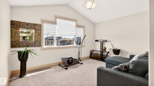 7276 Morgan Road Nw, Edmonton, AB - Indoor Photo Showing Gym Room