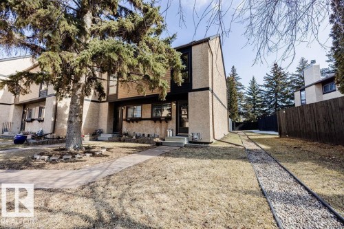 The property features a distinct two-story facade with a large mature tree in the front yard - 12032 25 Avenue, Edmonton, AB - Outdoor