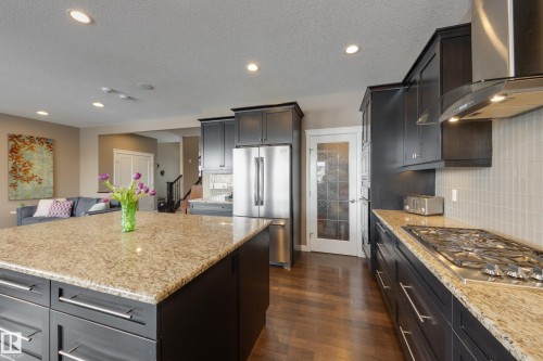 3825 Agar Green, Edmonton, AB - Indoor Photo Showing Kitchen With Upgraded Kitchen