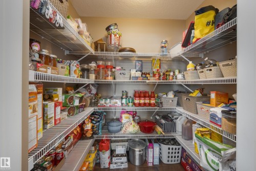 3825 Agar Green, Edmonton, AB - Indoor With Storage