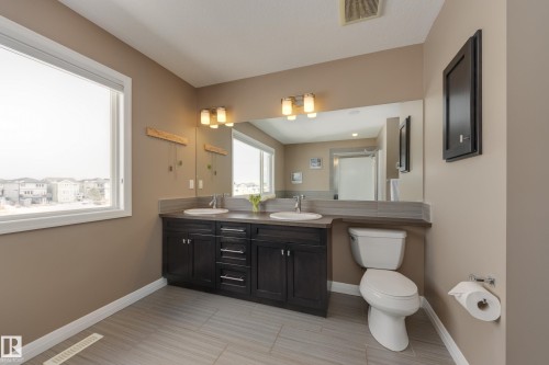 3825 Agar Green, Edmonton, AB - Indoor Photo Showing Bathroom