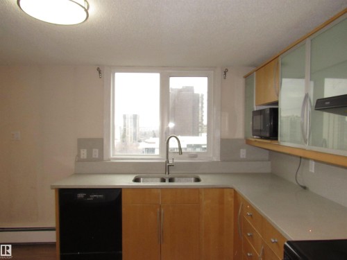 1002 9929 113 Street, Edmonton, AB - Indoor Photo Showing Kitchen With Double Sink