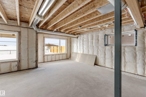 152 Edgewater Circle, Leduc, AB - Indoor Photo Showing Basement