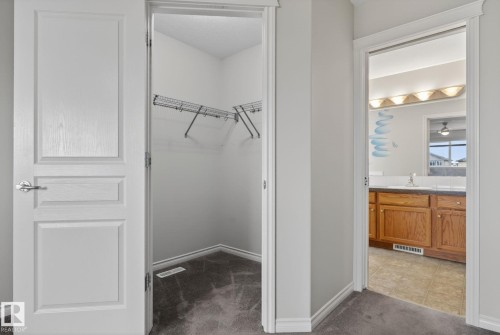 Walk-in closet featuring wire shelving and carpeted flooring, with a partial view of a bathroom vanity with a mirror and lighting - 96 Dalquist Bay, Leduc, AB - Indoor