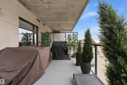 The property features a spacious balcony with a concrete ceiling and a dark-framed glass railing - 316 141 Festival Way, Sherwood Park, AB - Outdoor