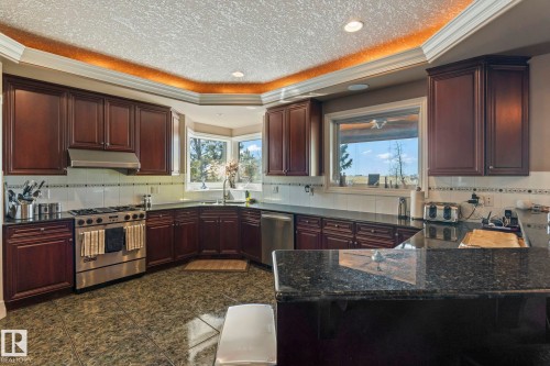 The kitchen features dark wood cabinetry, stainless steel appliances, and dark granite countertops - 9610 167 Street Sw, Edmonton, AB - Indoor Photo Showing Kitchen