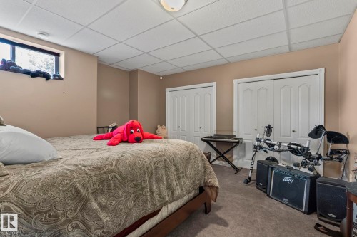 The room features carpeted flooring, two white bi-fold closet doors, and light tan wall paint - 9610 167 Street Sw, Edmonton, AB - Indoor Photo Showing Bedroom