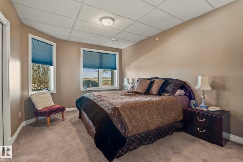 This bedroom features carpeted flooring, two windows with blue blinds, and a neutral wall color - 9610 167 Street Sw, Edmonton, AB - Indoor Photo Showing Bedroom