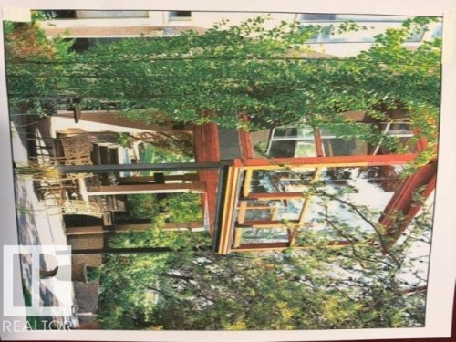 The property features a patio area with a paved surface and mature trees - 9610 167 Street Sw, Edmonton, AB - Outdoor