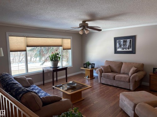5306 52 Street, Elk Point, AB - Indoor Photo Showing Living Room