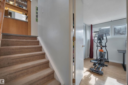 4224 Aspen Drive E, Edmonton, AB - Indoor Photo Showing Gym Room