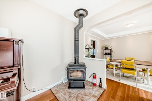12015 104 Street, Edmonton, AB - Indoor Photo Showing Other Room With Fireplace