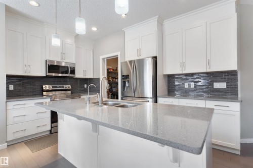 6006 19A Avenue, Edmonton, AB - Indoor Photo Showing Kitchen With Double Sink With Upgraded Kitchen