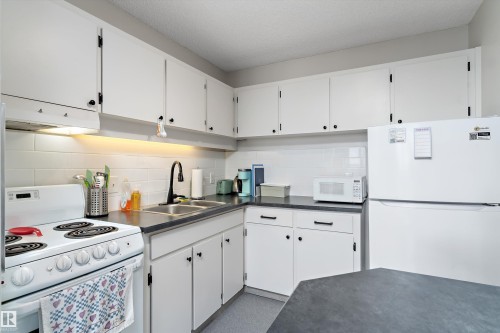 1002 12121 Jasper Avenue, Edmonton, AB - Indoor Photo Showing Kitchen With Double Sink