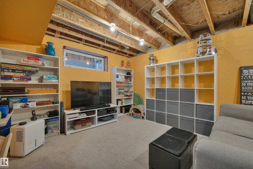 419 Hemingway Road, Edmonton, AB - Indoor Photo Showing Basement