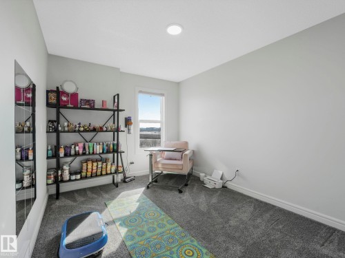 This room features light grey walls, grey carpet flooring, and a window providing natural light and a view - 2636 192 Street, Edmonton, AB - Indoor Photo Showing Bedroom