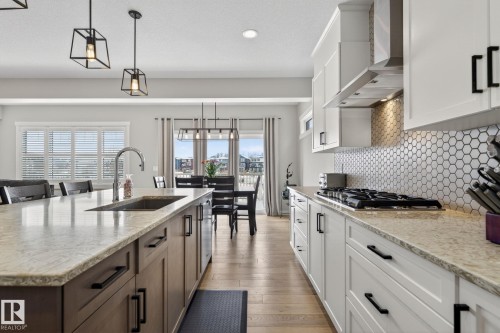 2728 202 Street, Edmonton, AB - Indoor Photo Showing Kitchen With Upgraded Kitchen