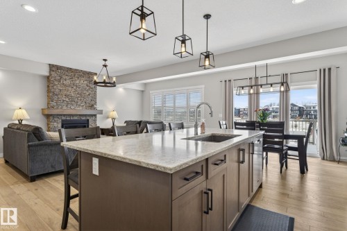 2728 202 Street, Edmonton, AB - Indoor With Fireplace