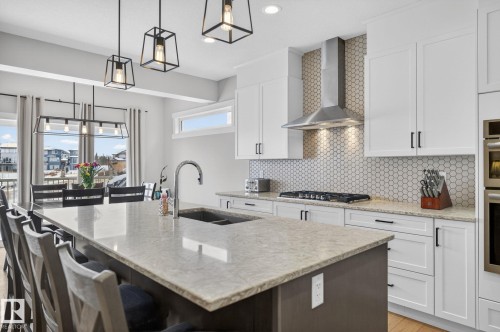 2728 202 Street, Edmonton, AB - Indoor Photo Showing Kitchen With Double Sink With Upgraded Kitchen