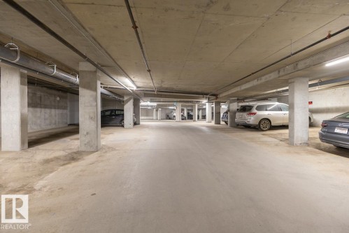 319 1316 Windermere Way, Edmonton, AB - Indoor Photo Showing Garage
