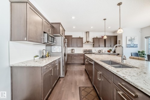 922 173A Street, Edmonton, AB - Indoor Photo Showing Kitchen With Double Sink With Upgraded Kitchen