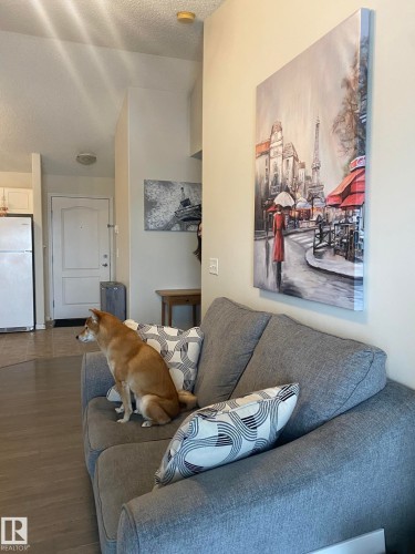 Well-lit living area featuring hard surface flooring, a light gray sofa, and a white interior door - 336 9525 162 Avenue, Edmonton, AB - Indoor Photo Showing Living Room
