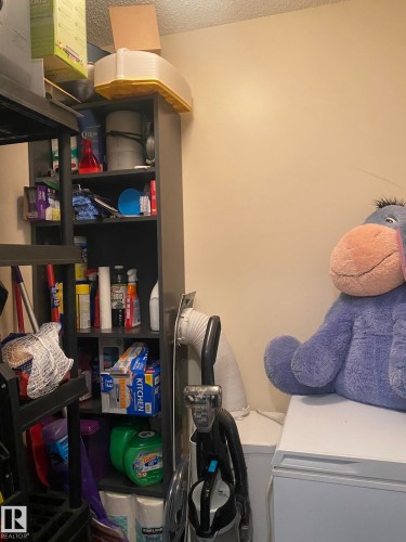 This functional area features a freestanding shelving unit providing organized storage - 336 9525 162 Avenue, Edmonton, AB - Indoor Photo Showing Laundry Room