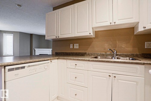 The kitchen features white cabinetry, a double basin stainless steel sink, and a built-in dishwasher - 201 10909 103 Avenue Nw, Edmonton, AB - Indoor Photo Showing Kitchen With Double Sink