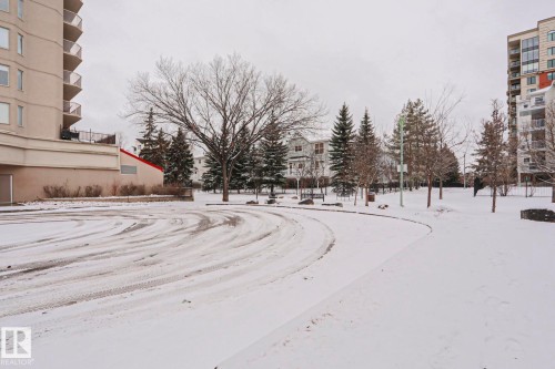 The property is located in a community featuring mature trees, paved pathways, and a park-like setting - 201 10909 103 Avenue Nw, Edmonton, AB - Outdoor