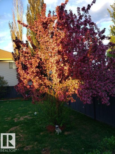 2354 Taylor Close, Edmonton, AB - Outdoor