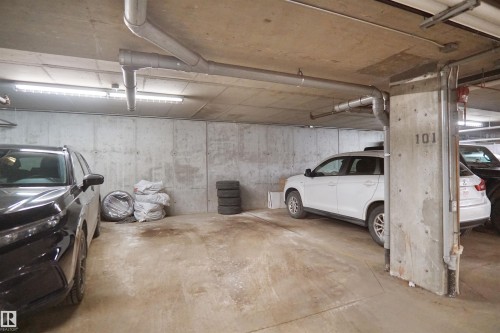 This property includes an assigned parking space, featuring concrete walls and ceiling, exposed piping, and overhead fluorescent lighting - 103 3353 16A Avenue, Edmonton, AB - Indoor Photo Showing Garage