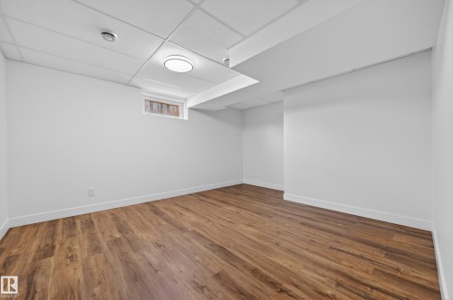 18312 91 Avenue, Edmonton, AB - Indoor Photo Showing Other Room